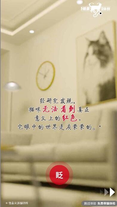 貓色彩視覺(jué)