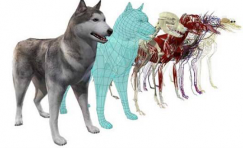 虛擬現(xiàn)實(shí)開發(fā)